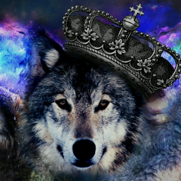 kingdesertwolf